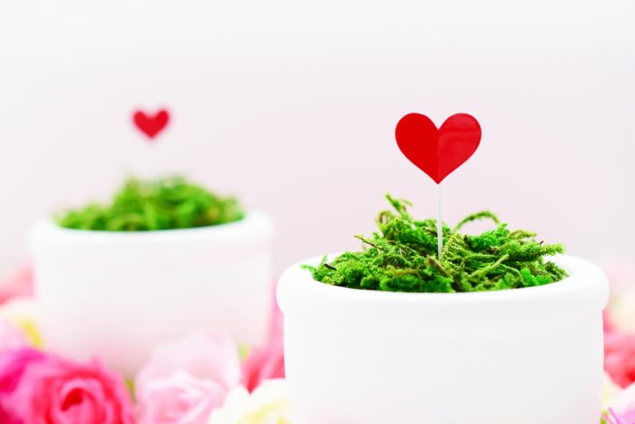 インテリアの画像