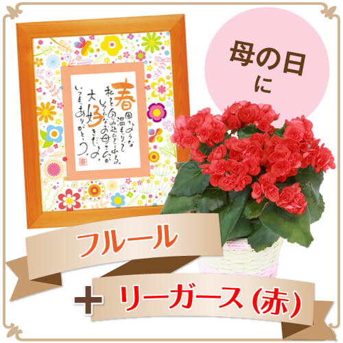 母の日ギフト